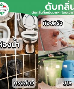 ดับกลิ่น
