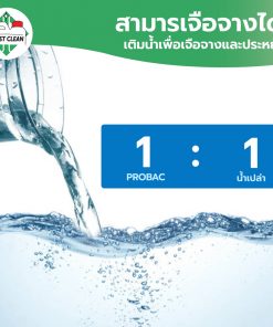 ผสมน้ำ 1-1