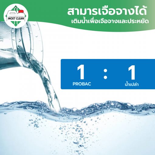 ผสมน้ำ 1-1