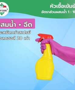 ใช้พ่นหรือถู