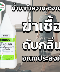 น้ำยาฆ่าเชื้อ Citrodet