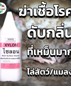 น้ำยาฆ่าเชื้อดับกลิ่น Xylon