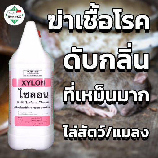 น้ำยาฆ่าเชื้อดับกลิ่น Xylon