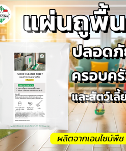 แผ่นถูพื้น