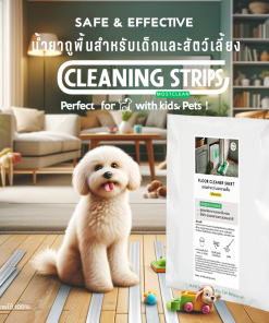 แผ่นถูพื้น ปลอดภัย